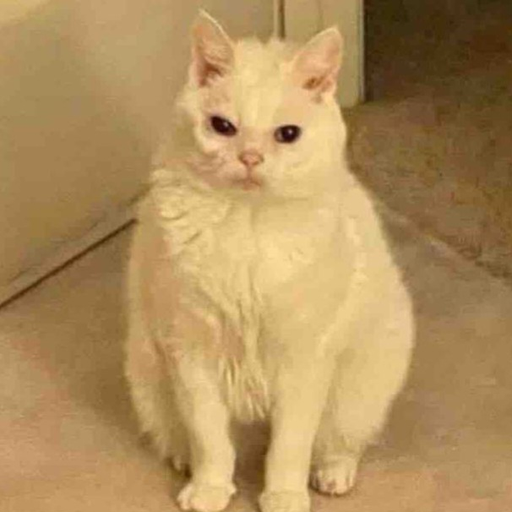 tray_icon #123028 sticker_pack