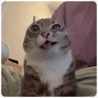 sticker image #13