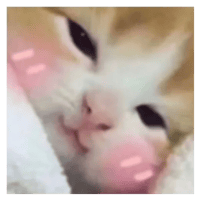 sticker image #15