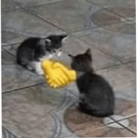 sticker image #13