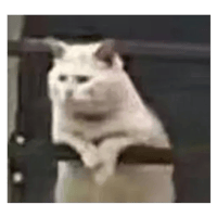 sticker image #14