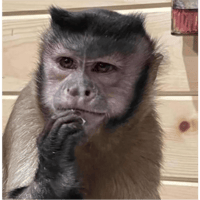 sticker image #12