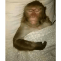 sticker image #15