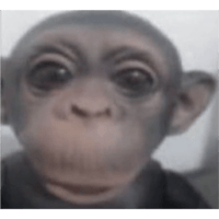 sticker image #21