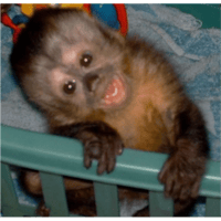 sticker image #23