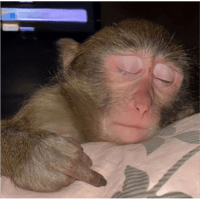 sticker image #26