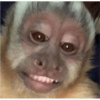 sticker image #29