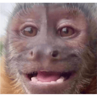 sticker image #8