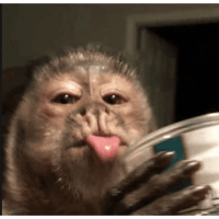sticker image #12