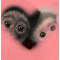 sticker image #14
