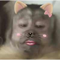 sticker image #12