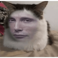 sticker image #14