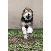 sticker image #20