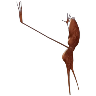tray_icon