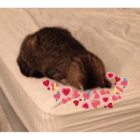 sticker image #20
