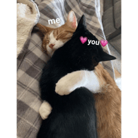 sticker image #24