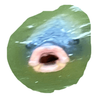 sticker image #4