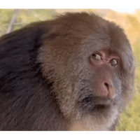 sticker image #18