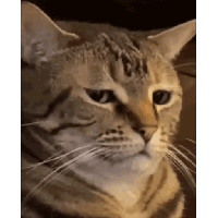 sticker image #25