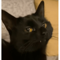 sticker image #21