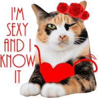 sticker image #15