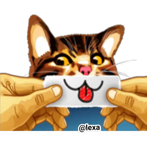 Sticker Maker - MEME el ? gato