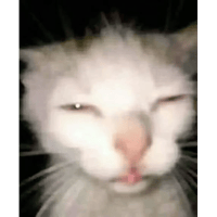 sticker image #29