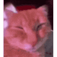 sticker image #10