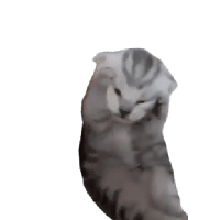 sticker image #12