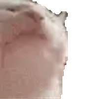 sticker image #13
