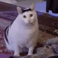 sticker image #14