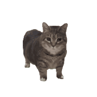 sticker image #15