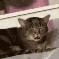 sticker image #21