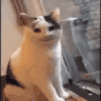 sticker image #22