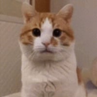 sticker image #25