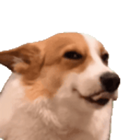 sticker image #30
