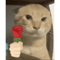 sticker image #15