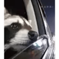 sticker image #17