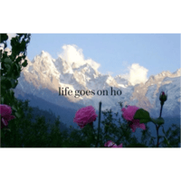 sticker image #18