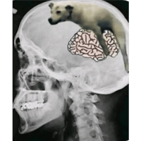 sticker image #15