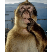 sticker image #21