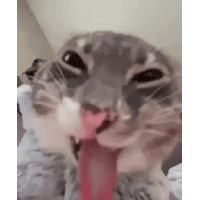 sticker image #10