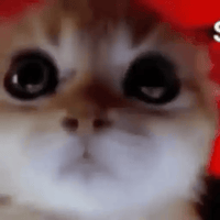 sticker image #24