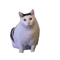 sticker image #9