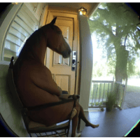 sticker image #28