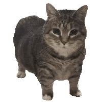 sticker image #1