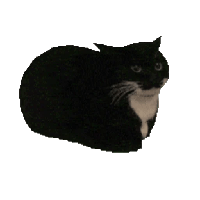 sticker image #2