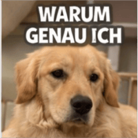 sticker image #19