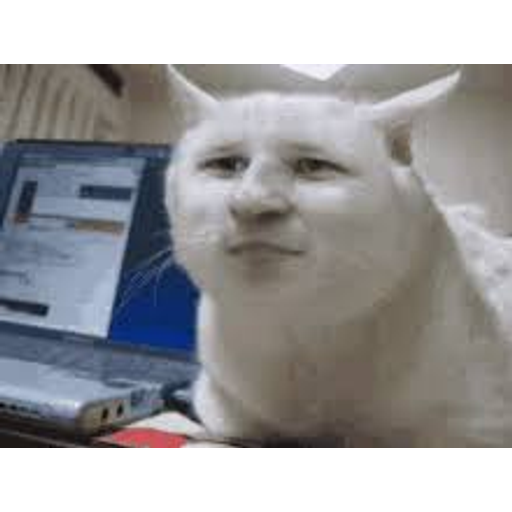 Sticker Maker Memes Pack 1 vrogue.co