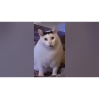 sticker image #11